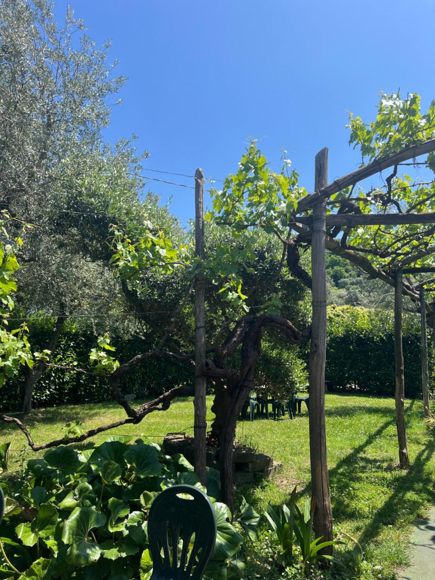 Agriturismo Le Grottelle Villa Sant'Agata sui due Golfi Eksteriør billede