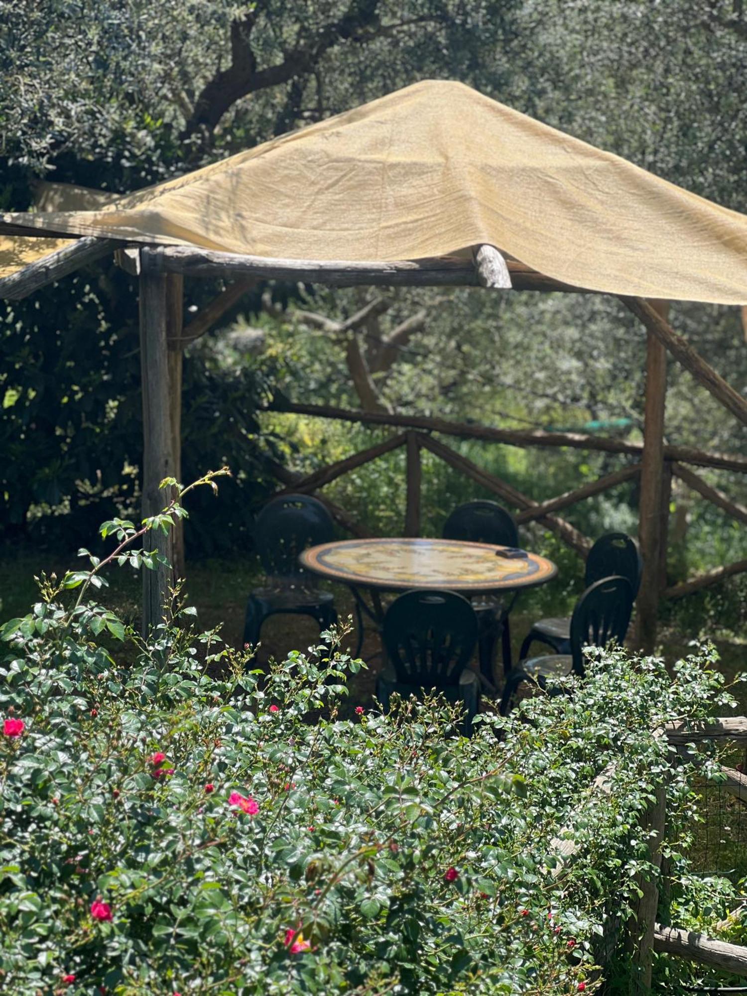 Agriturismo Le Grottelle Villa Sant'Agata sui due Golfi Eksteriør billede